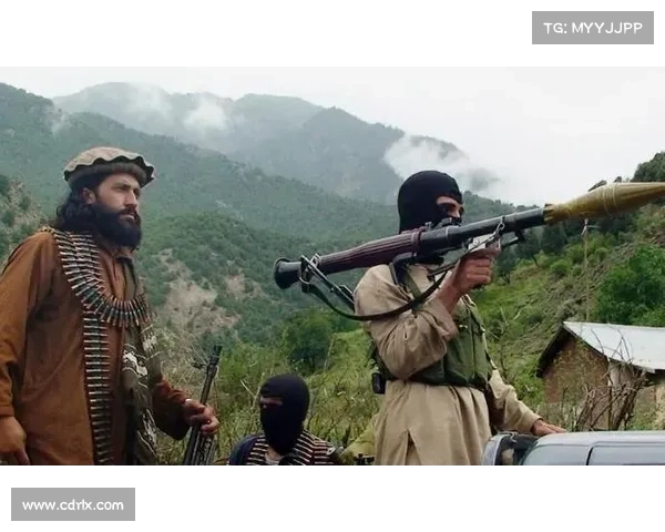 战火与辉煌:以巴阿大战为中心